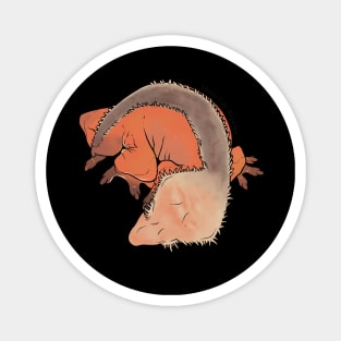 Grayson Line, Large Crested Gecko - Ember Magnet